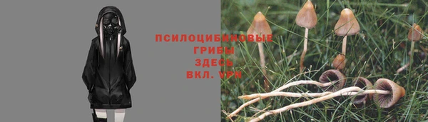 соль курить ск Алзамай
