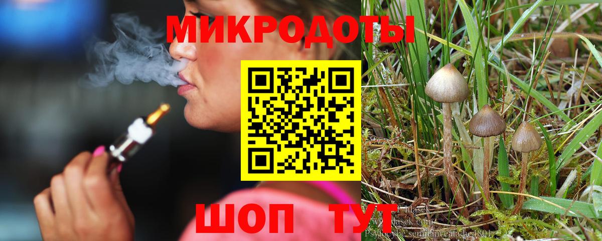 Псилоцибиновые грибы Psilocybe  Вход с VPN  Галлюциногенные грибы мицелий  Старый Оскол 